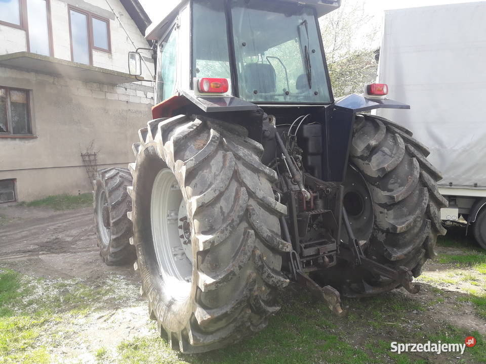 Massey ferguson Brodnica