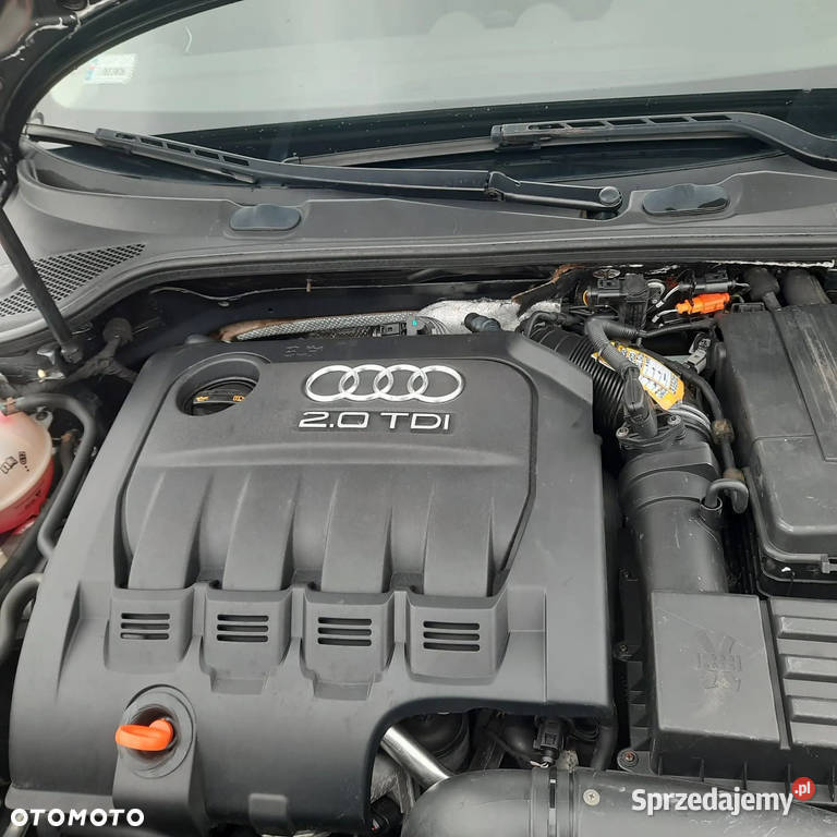 AUDI A3 2008r 20TDI170 Doinwestowany s Rok produkcji 2008 lubelskie Parczew