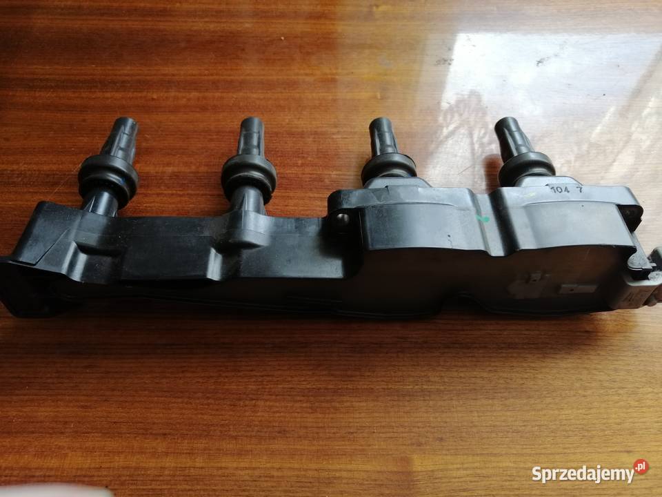 Peugeot Citroen Cewka Zaplonowa Kłodawa