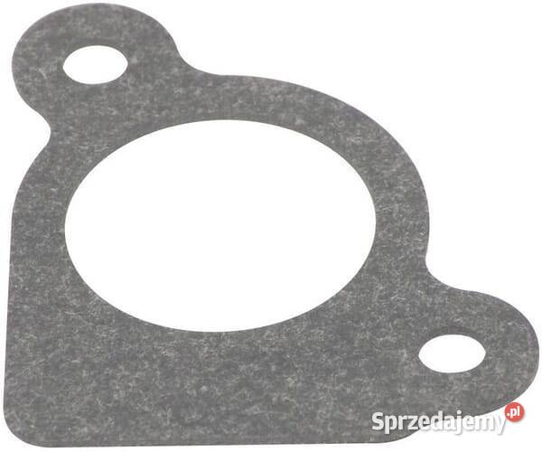 Uszczelnienie wlewu 794306 Kamionna