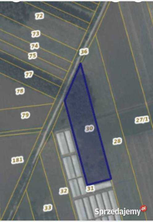 Ziemia rolna Sprzedaż mazowieckie sprzedam