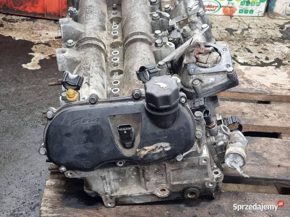 GŁOWICA IVECO COMPA osobowe