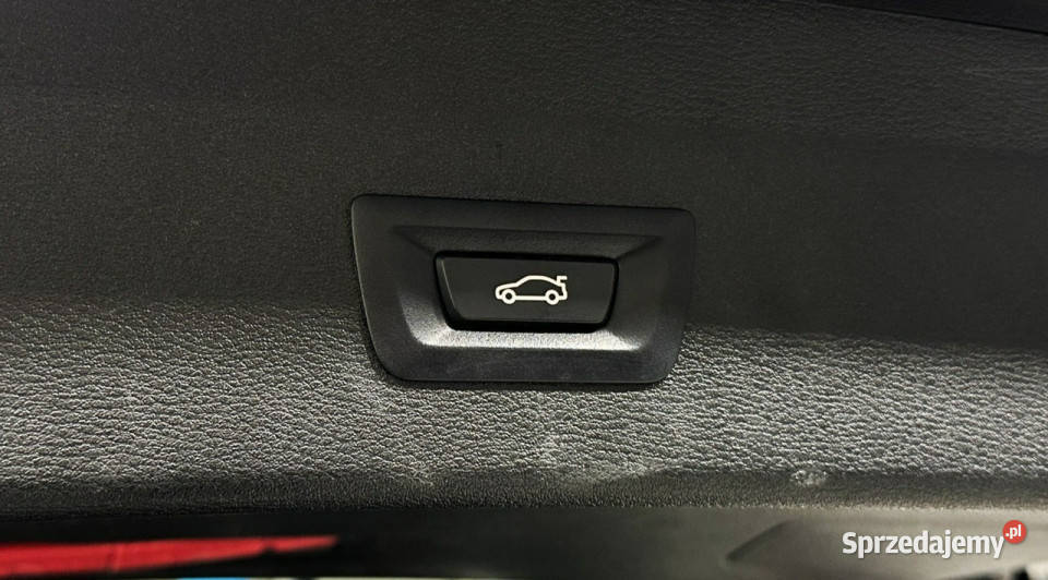 BMW X1 II F48 2015 Rok produkcji 2019 Sadlno