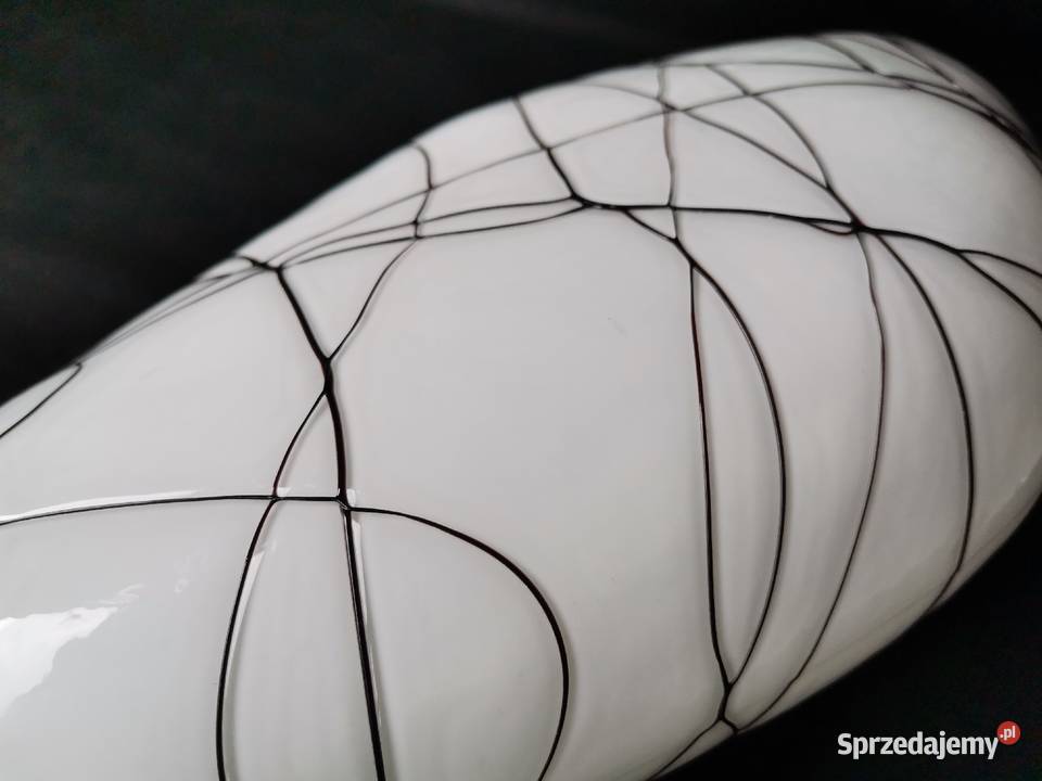 Stary wazon w oplocie Katowice sprzedam