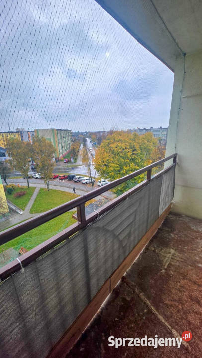 Mieszkanie Sieradz 447m2 2pokojowe Liczba pokoi 2 sprzedam