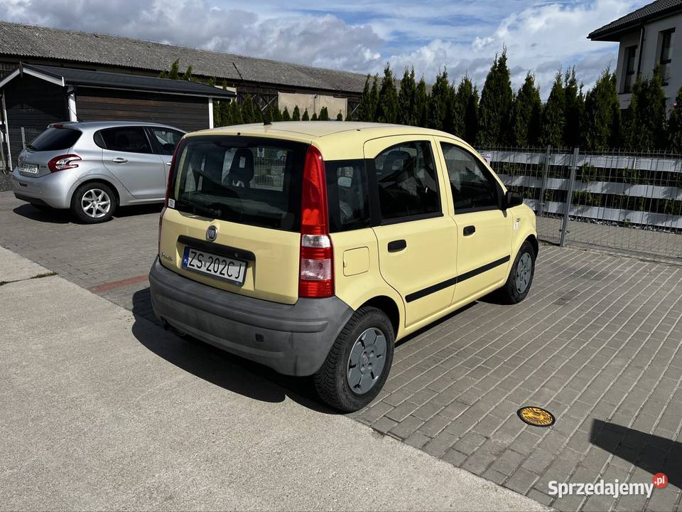 Wypożyczalnia aut NRENT Fiat panda benzyna Szczecin wynajem auta