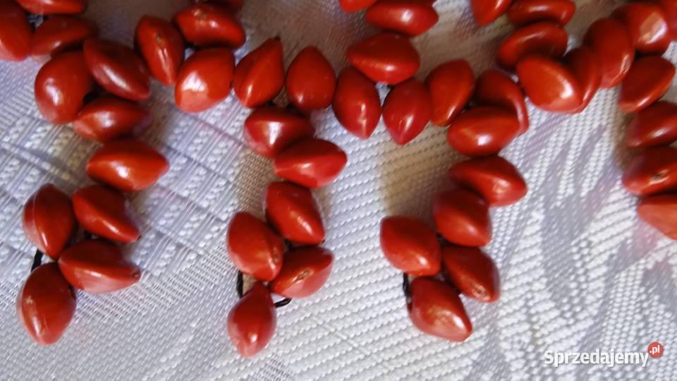EGZOTYCZNA KOLIA RĘCZNIE WYKONANA Z NASION Piła