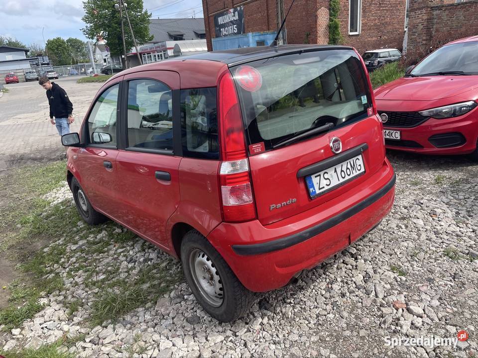 Wynajem Wypożyczalnia aut Fiat panda Szczecin