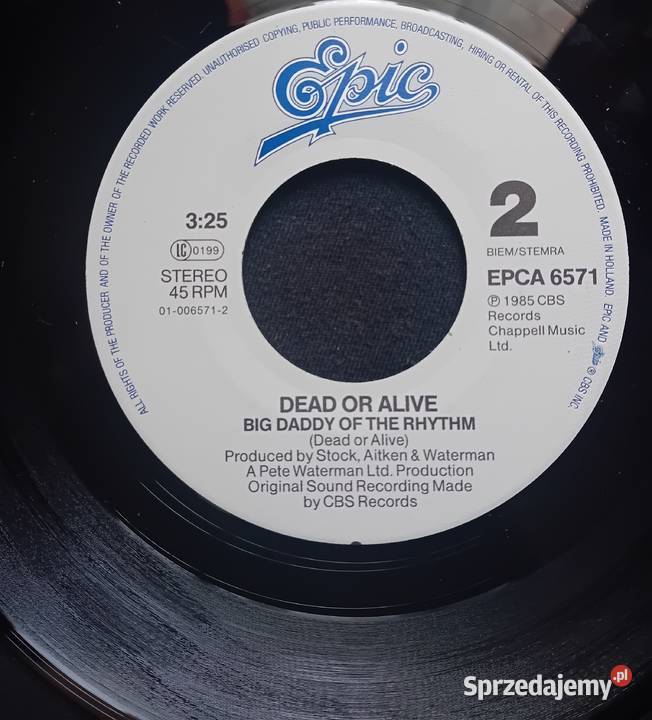 SP Dead or Alive My Heart Goes Bang CBSEpic 1985 wielkopolskie Koźminek