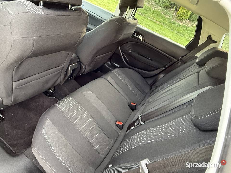 Peugeot 308 Sw 16 EHDI wielkopolskie Róża