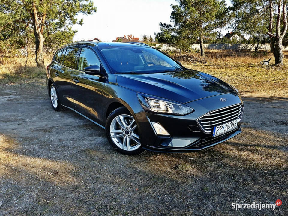 Ford Focus 15 ECOBLUEKlimaPełna nieuszkodzony Focus Piła