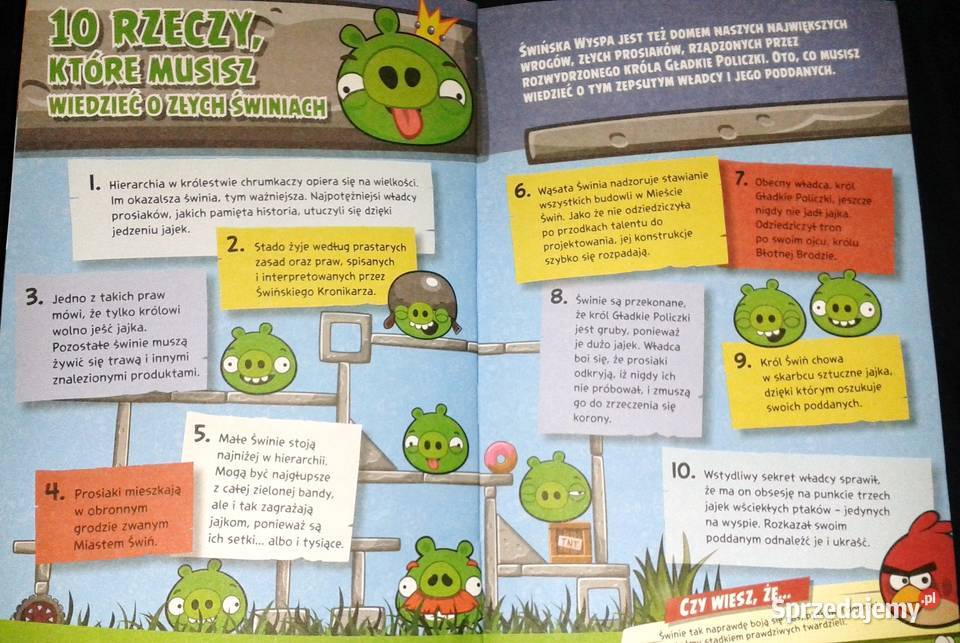 Angry Birds Kolorowy świat Oficjalny przewodnik miękka Pozostałe lubelskie
