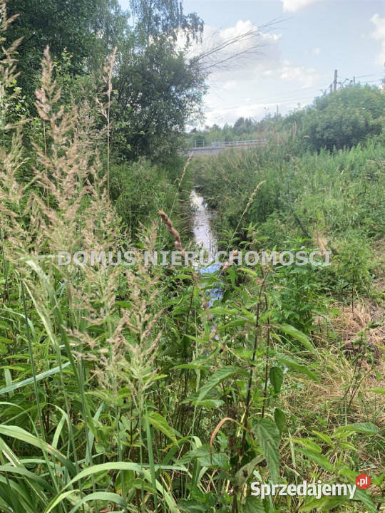 Dom wolnostojący Koluszki 45m2 sprzedam