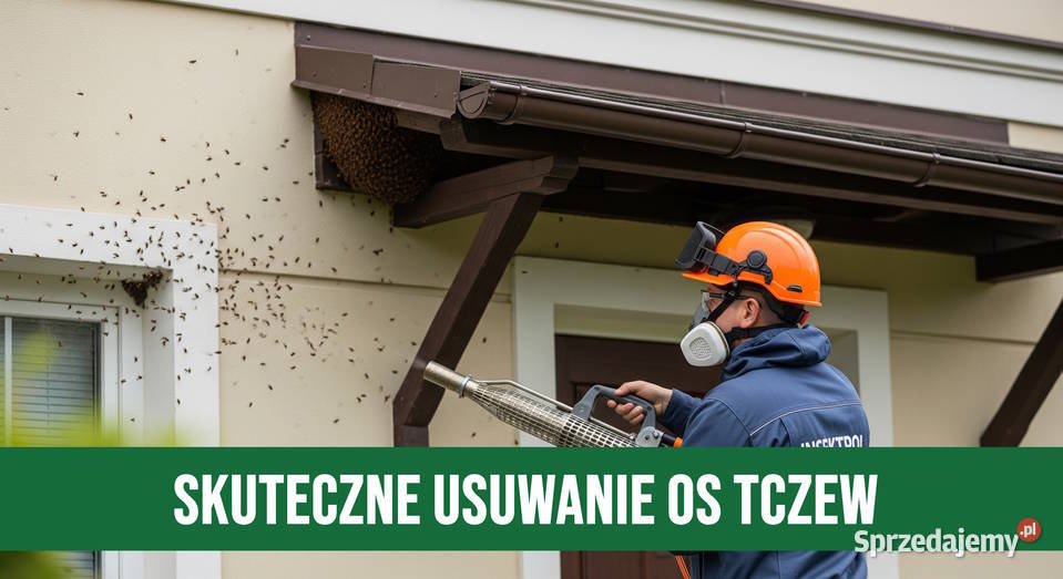 Zwalczanie Os Tczew Usuwanie Gniazd