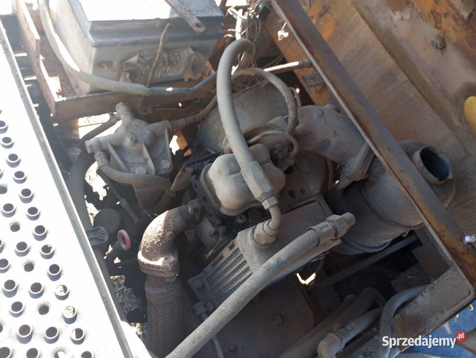 Walec drogowy do trawnika Walce wielkopolskie Buk