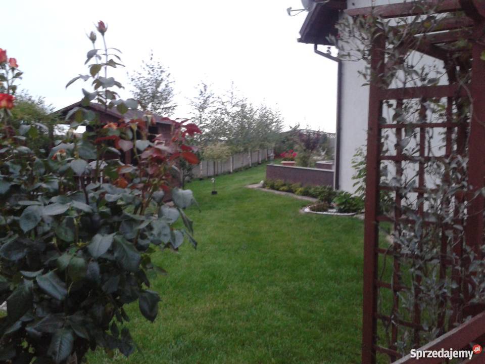 Sprzedam zamienię dom 3000zł/m2 sprzedam