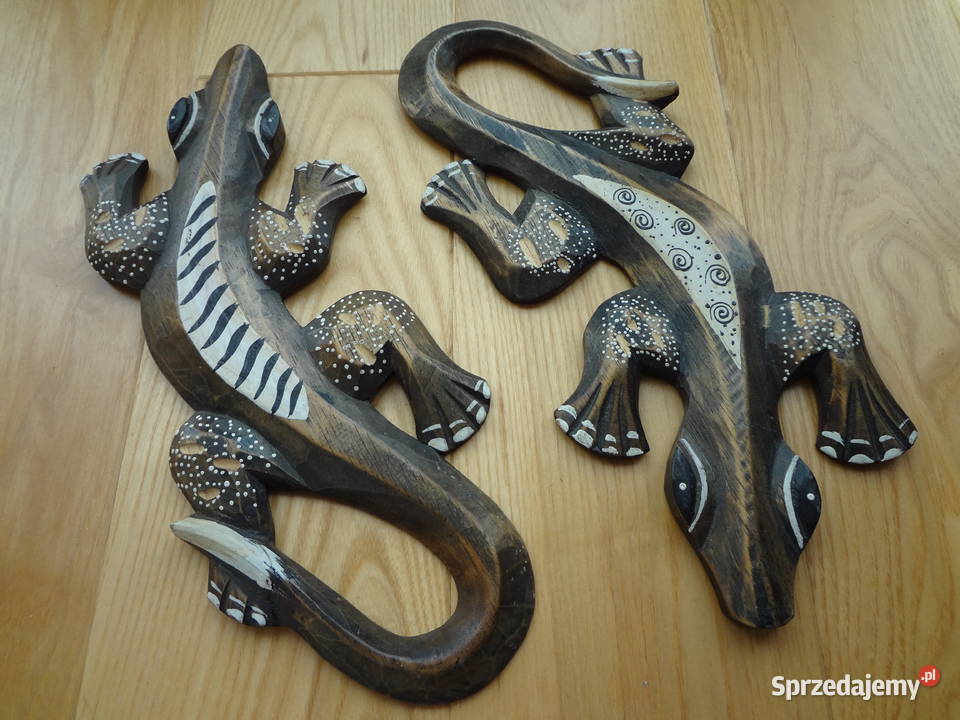 salamandry jaszczurki Wrocław