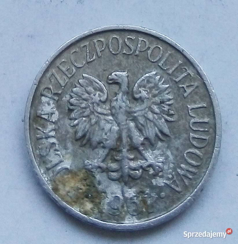 POLSKA5 GROSZY1961 rbzAL