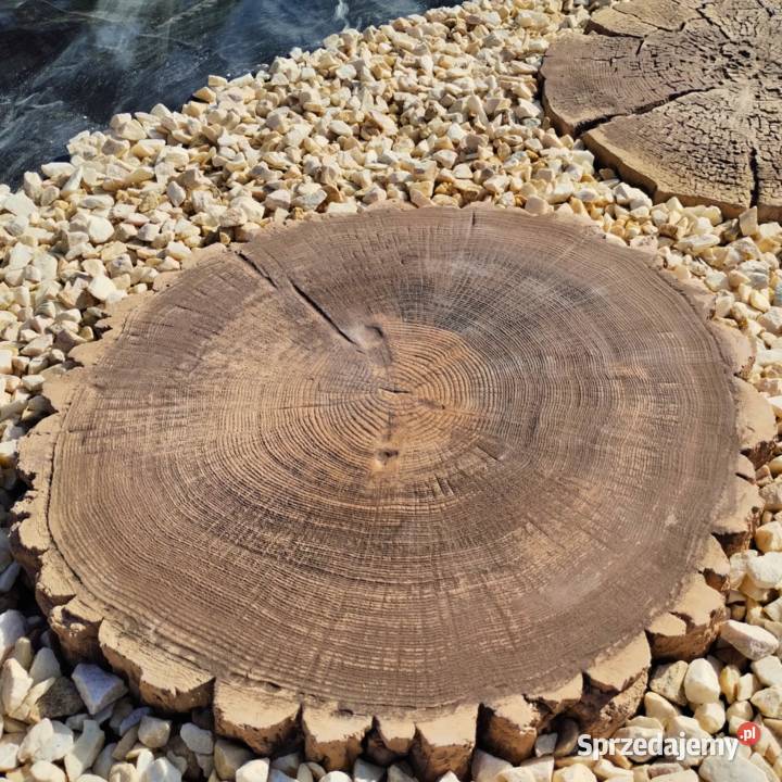 Płyta ogrodowa Pniaczek efekt drewna trwałość Żelichów