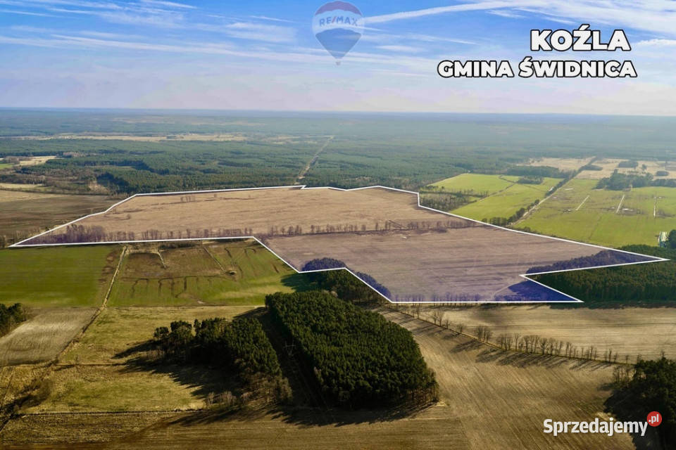 Działka rolna na sprzedaż aż 925 ha Koźla sprzedam