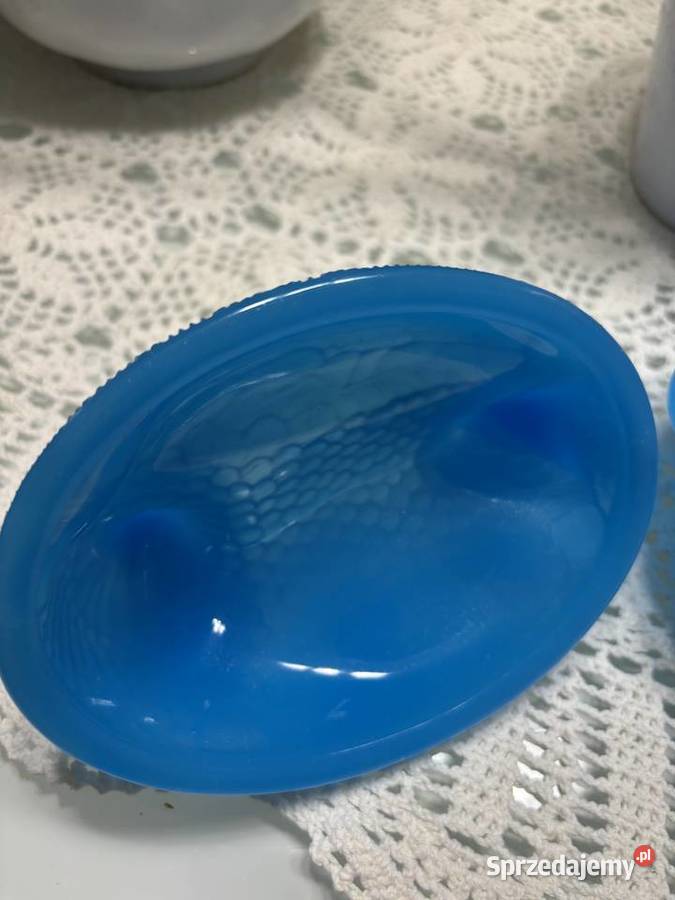 Kura w gnieździe Sędziejowice