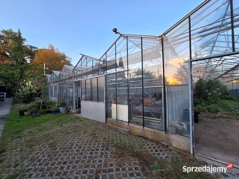 Szklarnia Venlo