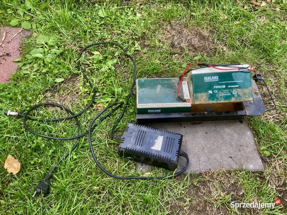 Hulajnoga elektryczna Retro Trendline Hulajnogi elektryczne Radomsko