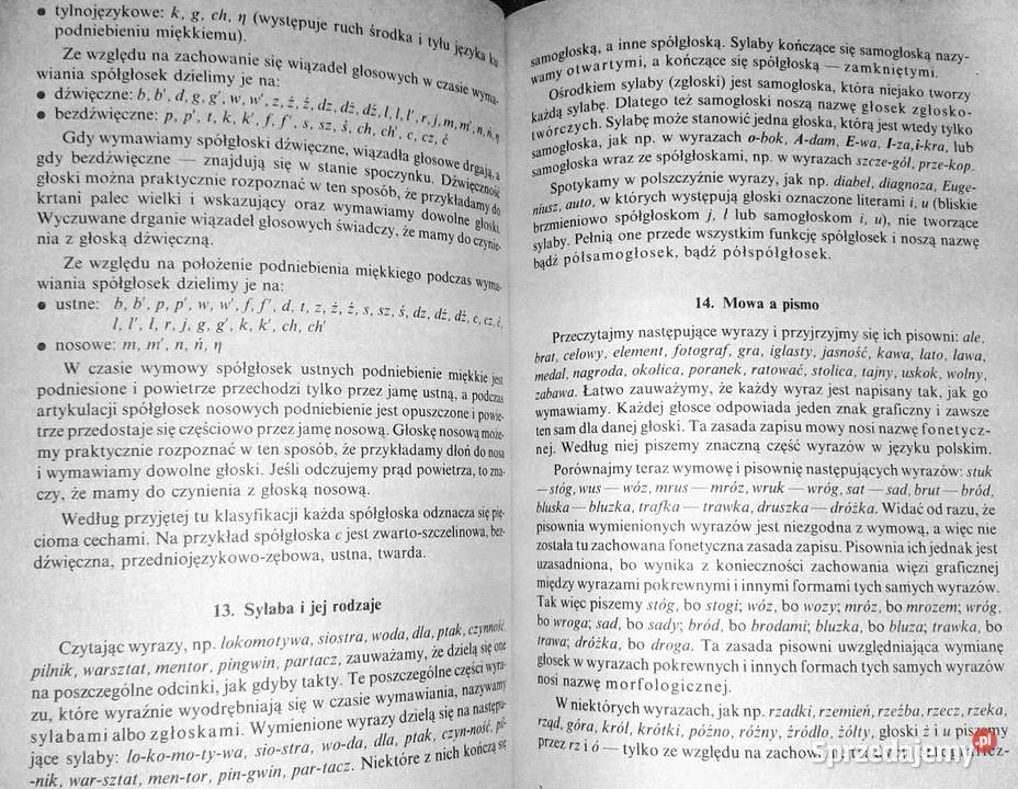 Kompendium gramatyki polskiej Mieczysław Rak Chełm