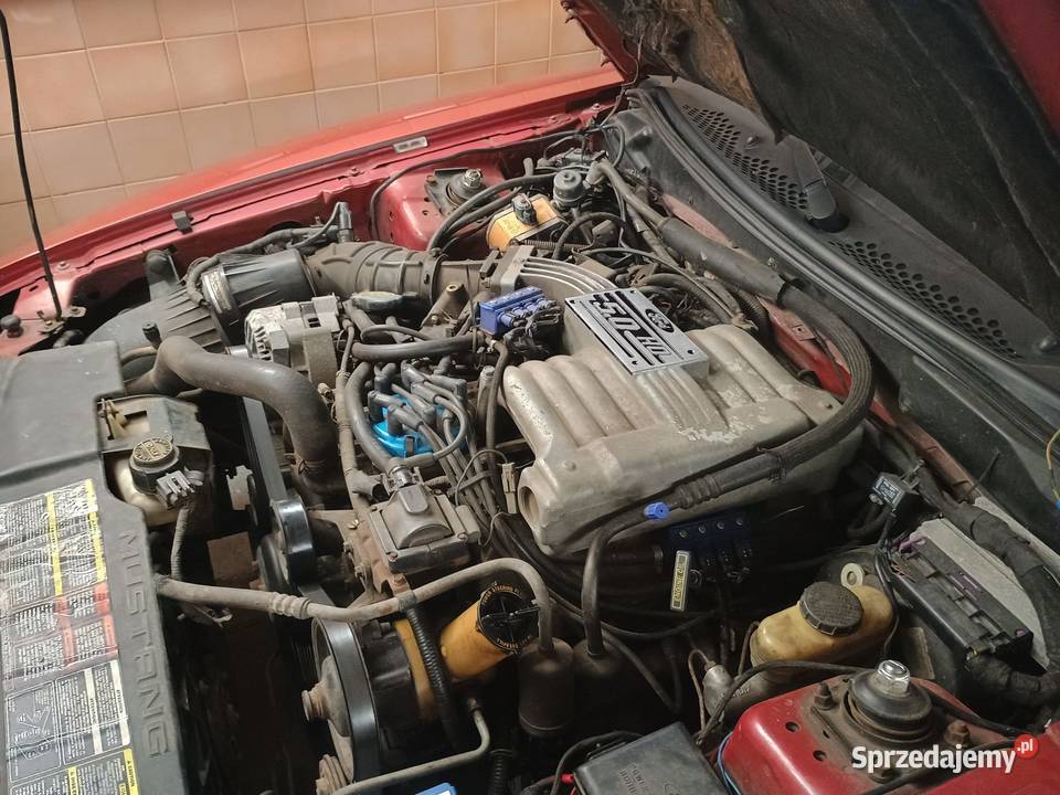 Ford Mustang SN95 50 V8 Gdańsk