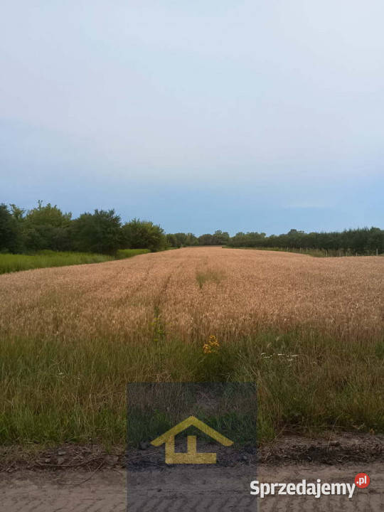 Działka w Nadbrzeżu