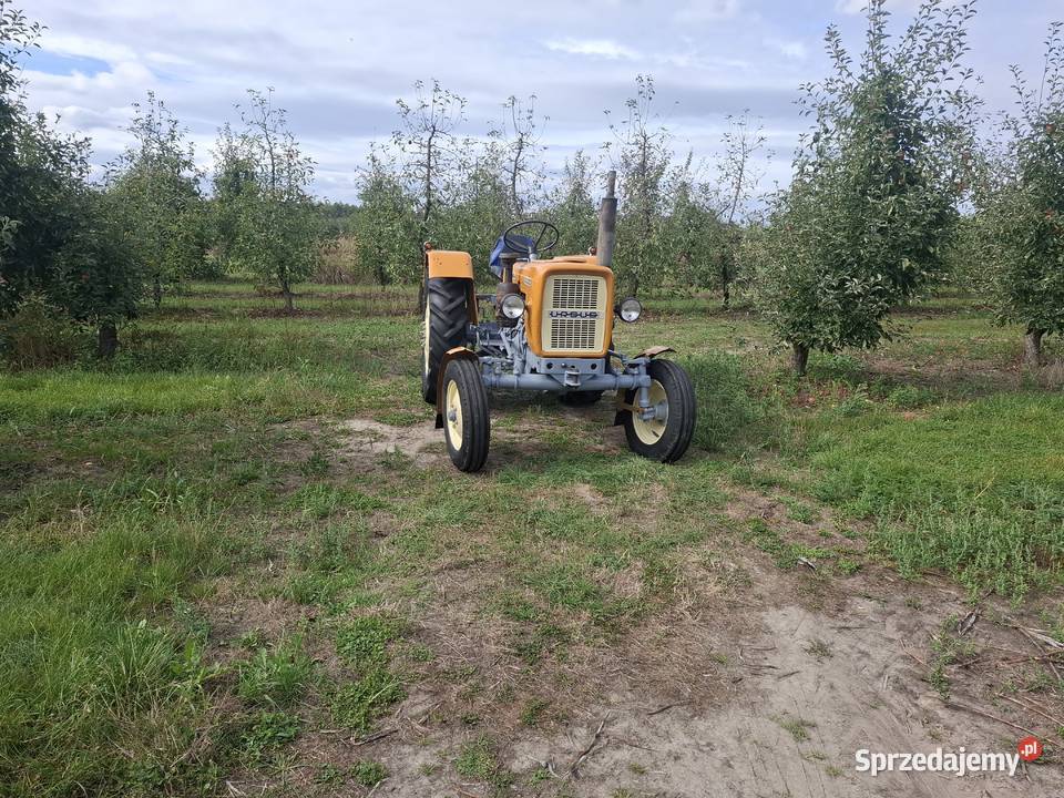 Ursus C330 ciągnik rolniczy traktor Grójec sprzedam