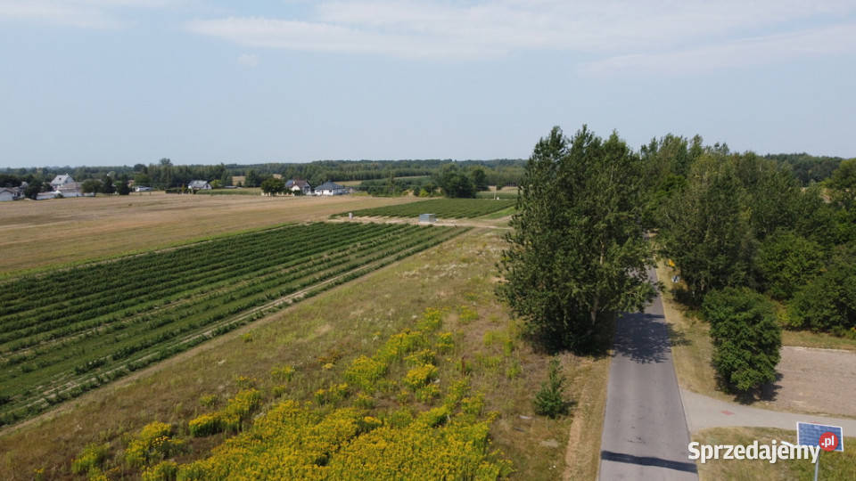 Działka 2940 m2 z WZ w Przyłęku pow Zwoleń Sprzedaż Przyłęk