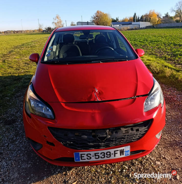 Opel Corsa 14 i E 2014 Corsa Pleszew