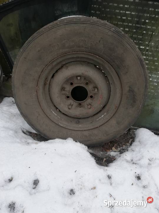 Koło do żuka Bydgoszcz