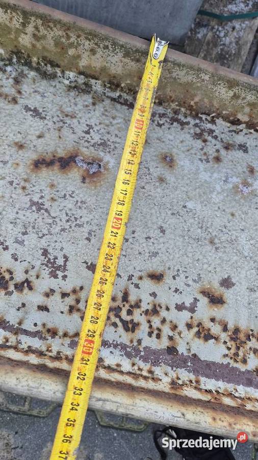 Dwuteownik 2 Pozostałe Hryniewicze