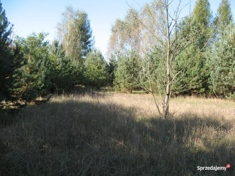 działke Karolino Serock