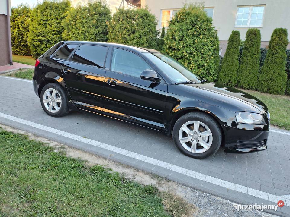 Audi A3 8p 2009 Opatów