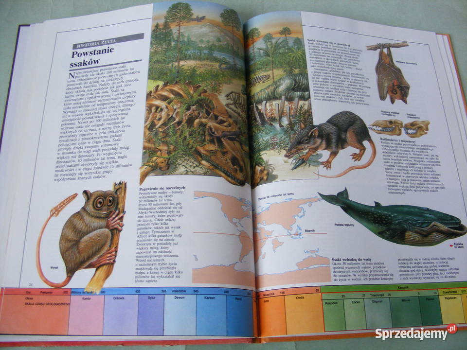 Moja pierwsza książka Przyroda Atlas świata Oborniki Śląskie