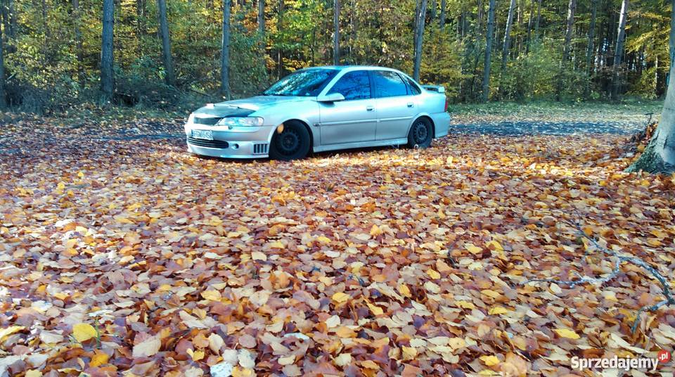 Sprzedam vectra b 25v6 Gorzów Wielkopolski