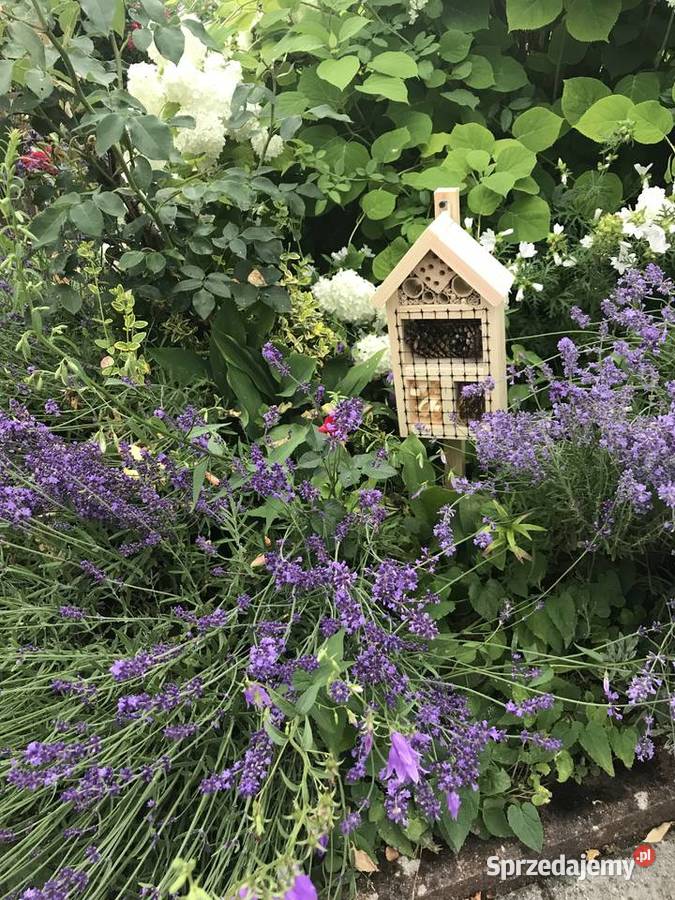 domek owadów M1 zachodniopomorskie Sławno