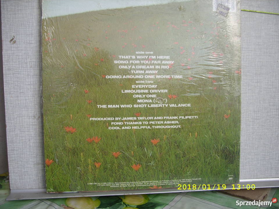 Rock LP JAMES TAYLORTHATS WHY IN HERE Canada płyta winylowa Wołów