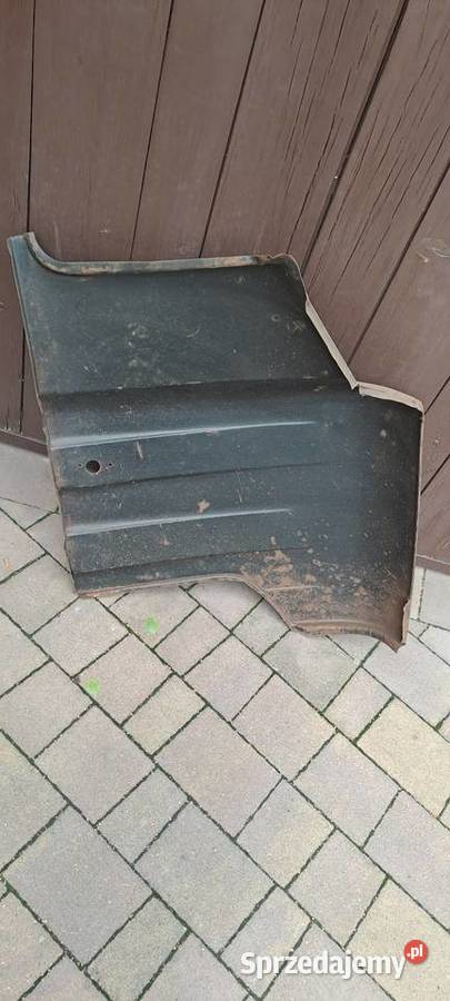 Zuk blotniki mazowieckie Mińsk Mazowiecki