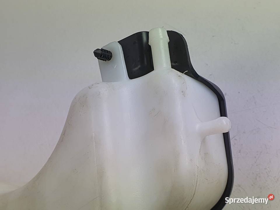 Zbiorniczek Wyrownawczy Plynu Triumph Speed Zbiorniki Łódź