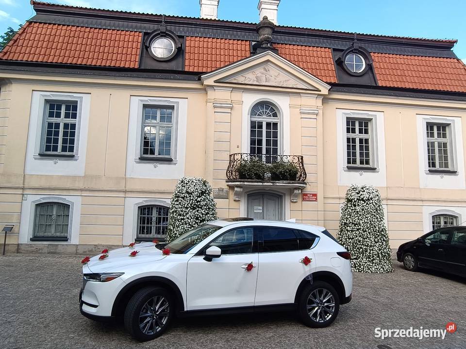 Przewóz osób na lotnisko Białystok