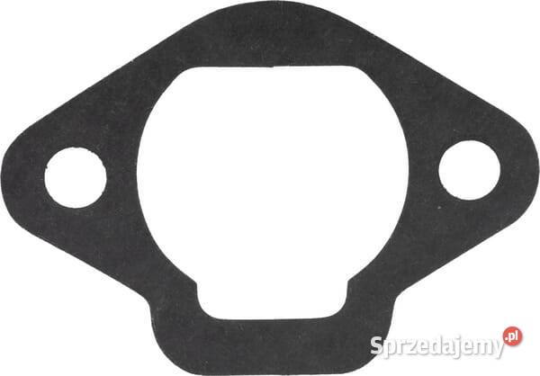 Uszczelka 110612229 Dom i Ogród Kamionna