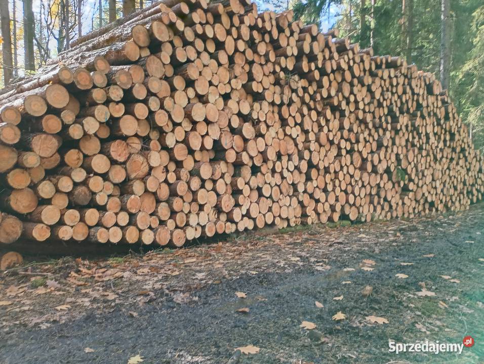 Stęple żerdzie słupki Pozostałe dolnośląskie Kłodzko sprzedam