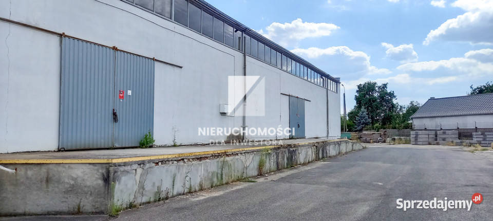 Hala magazynowa 810 m S3 4 bramy rampa Hale i magazyny Gorzów Wielkopolski