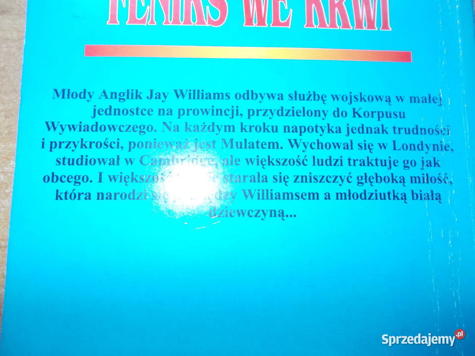 Jack Higgins Feniks we krwi miękka Głubczyce