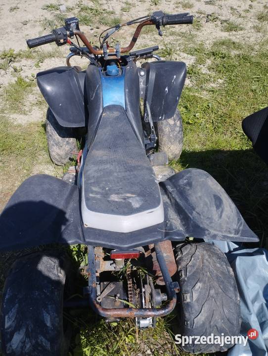 sprzedam qadda Diabolini małopolskie Brzozowa