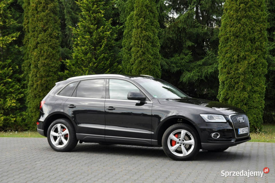 Audi Q5 20TDI177LiftXenonLedNaviKeyless serwisowany w ASO